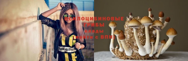 марки lsd Богородицк