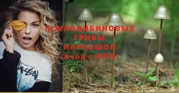 герыч Богородск