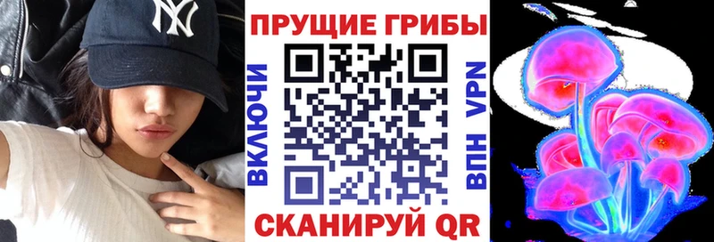 маркетплейс состав  Дальнереченск  Псилоцибиновые грибы Psilocybine cubensis 